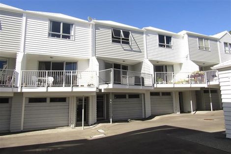 Photo of property in 3uj Papawai Terrace, Mount Cook, Wellington, 6021