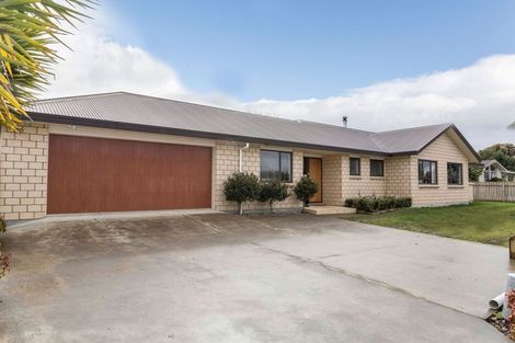 Photo of property in 8a Allan Street, Dannevirke, 4930