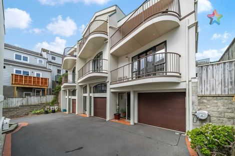 Photo of property in Vein & Skin, 38a Roxburgh Street, Mount Victoria, Wellington, 6011