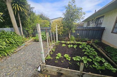 Photo of property in 17c York Street, Gonville, Whanganui, 4501