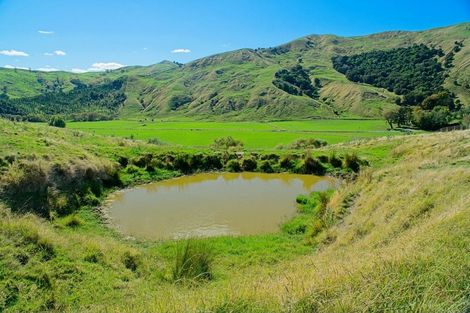 Photo of property in 1215 Wharekopae Road, Ngatapa, Gisborne, 4072