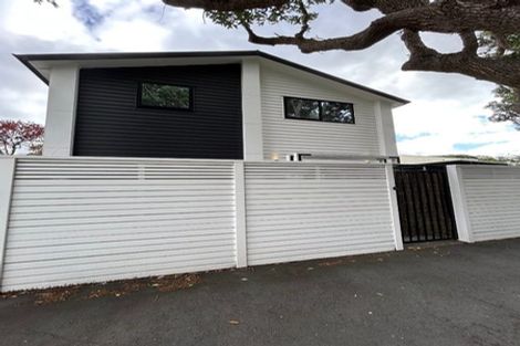 Photo of property in 1/36 Mitchell Street, Epuni, Lower Hutt, 5011