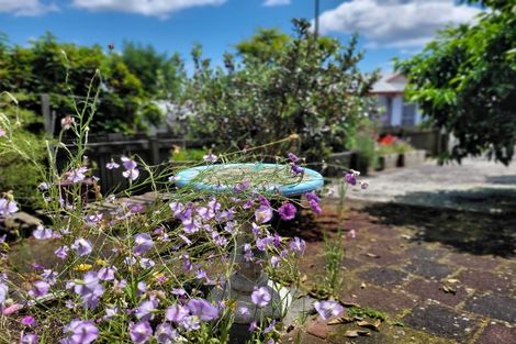 Photo of property in 17 Park View Rise, Gate Pa, Tauranga, 3112