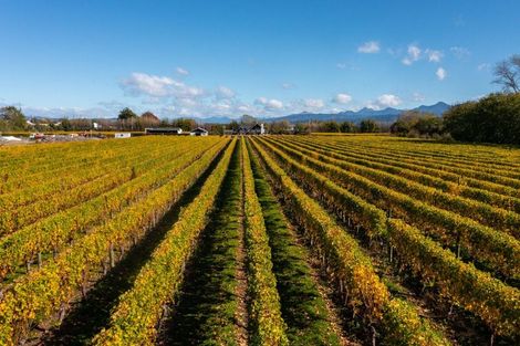 Photo of property in 5 Brook Street, Renwick, 7204