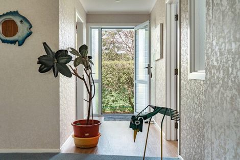 Photo of property in 37 North Branch Road, Milton, 9291