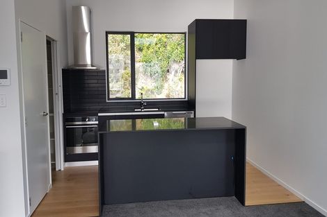 Photo of property in 1c Wilkinson Street, Oriental Bay, Wellington, 6011