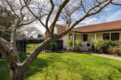 Photo of property in 6 Rata Place, Witherlea, Blenheim, 7201