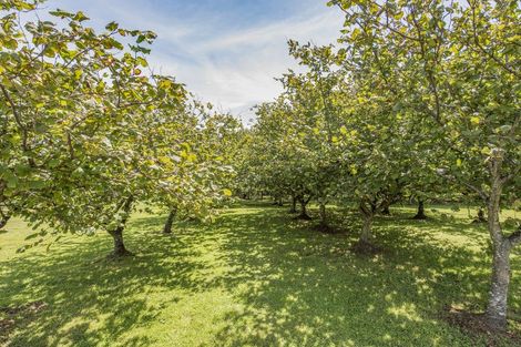 Photo of property in 32 Hadfield Road, Peka Peka, Waikanae, 5391