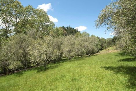 Photo of property in 14 Mcgiven Place, Coatesville, 0793