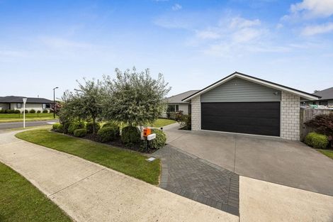 Photo of property in 407 Warburton Crescent, Te Awamutu, 3800