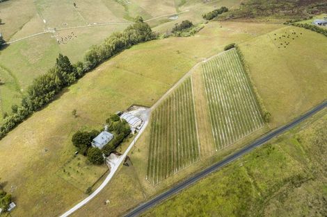 Photo of property in 6 Hamilton Road, Warkworth, 0982