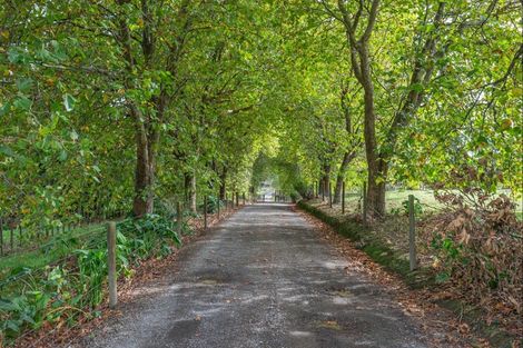 Photo of property in 73 Wakefield Road, Levin, 5571