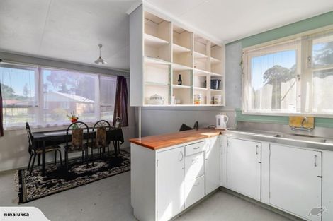 Photo of property in 13 Ruth Street, Fordlands, Rotorua, 3015