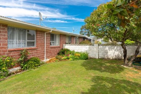 Photo of property in 60a Leefield Street, Blenheim, 7201