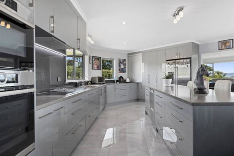 Photo of property in 515 Youngson Road, Whakamarama, Tauranga, 3179