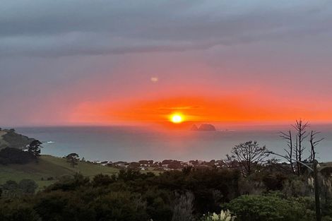 Photo of property in 111 Centennial Drive, Whitianga, 3510