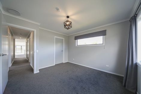 Photo of property in 24 Poplar Grove, Feilding, 4702
