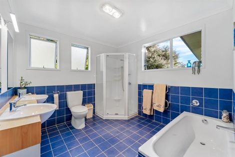 Photo of property in 46 Danbury Drive, Torbay, Auckland, 0630