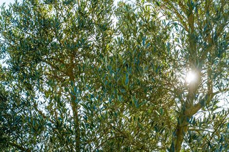 Photo of property in 106 Longwood Road East, South Featherston, Featherston, 5771