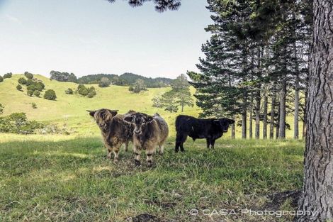 Photo of property in 141 Adams Road, Glenbervie, Whangarei, 0175