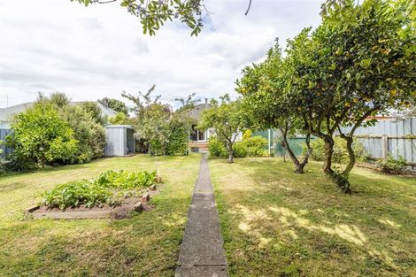 Photo of property in 61 Manson Street, Terrace End, Palmerston North, 4410