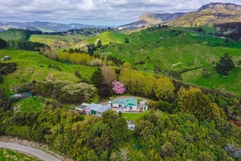 Photo of property in 2171 Parikanapa Road, Tiniroto, Manutuke, 4078