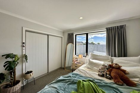 Photo of property in 36b Eton Street, Hampstead, Ashburton, 7700