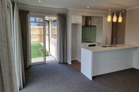 Photo of property in 5 Ayrshire Street, Appleby, Richmond, 7020