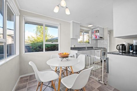 Photo of property in 59b York Street, Hamilton East, Hamilton, 3216