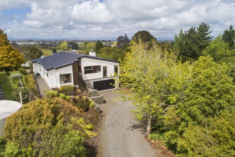 Photo of property in 21 Windsor Terrace, Feilding, 4702