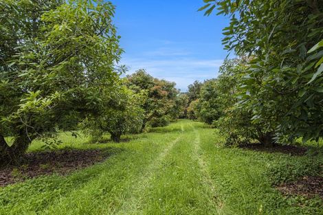 Photo of property in 161 Newton Road, Maungatapere, Whangarei, 0170