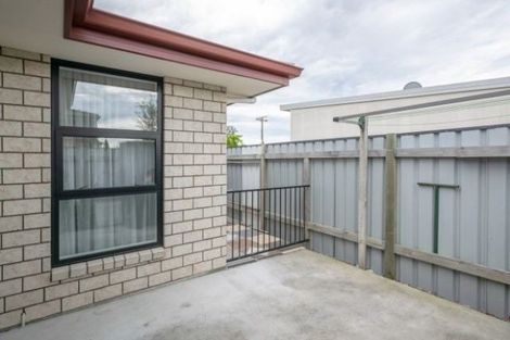 Photo of property in 17 Elzy Street, Blenheim, 7201