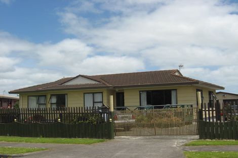 Photo of property in 167 Finlayson Avenue, Clendon Park, Auckland, 2103