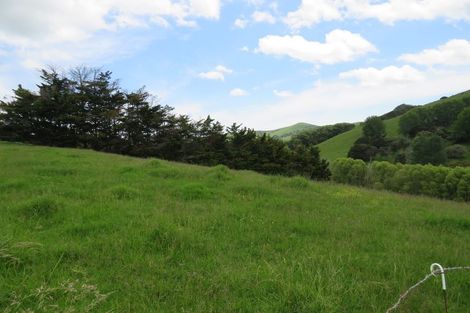 Photo of property in 244 Tinopai Road, Matakohe, 0593