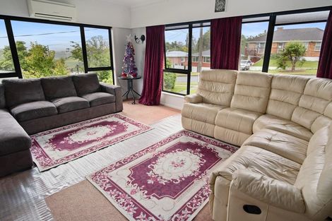 Photo of property in 12 Sholson Street, Putaruru, 3411