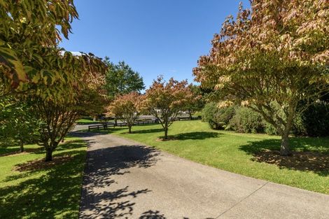 Photo of property in 3 Phillips Drive, Oropi, Tauranga, 3173
