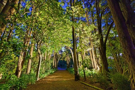 Photo of property in 423 Otaki Gorge Road, Hautere, Otaki, 5582