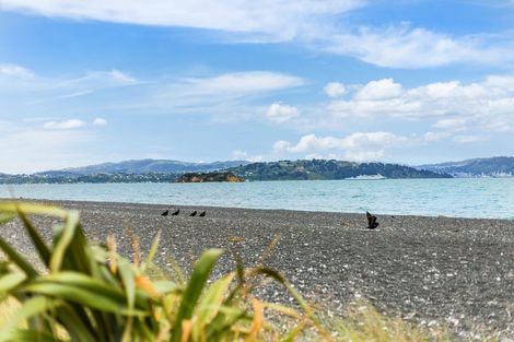 Photo of property in 105 Marine Parade, Eastbourne, Lower Hutt, 5013