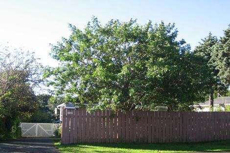 Photo of property in 38 Mclean Avenue, Papatoetoe, Auckland, 2025