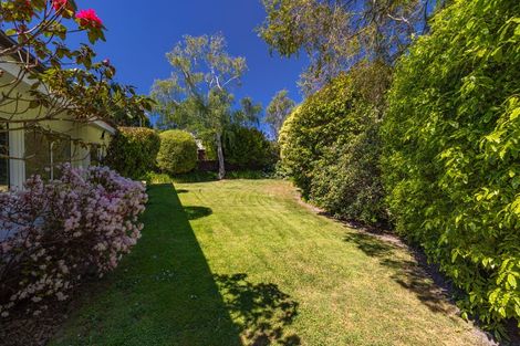 Photo of property in 117 Hamilton Avenue, Ilam, Christchurch, 8041