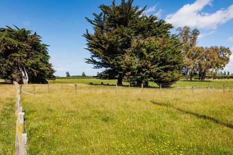 Photo of property in 226 Waughs Road, Bunnythorpe, Feilding, 4775