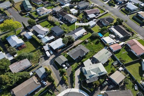 Photo of property in 22a Sheila Place, Dinsdale, Hamilton, 3204