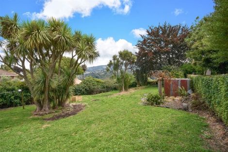 Photo of property in 155 Signal Hill Road, Opoho, Dunedin, 9010