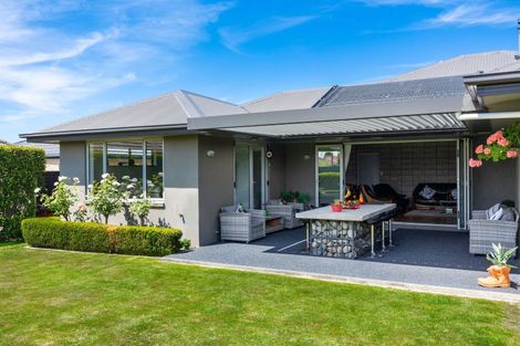 Photo of property in 12 Puketea Place, Redwoodtown, Blenheim, 7201