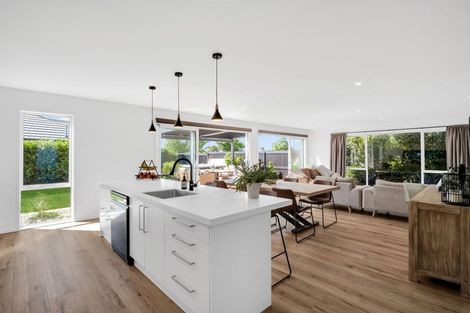 Photo of property in 19 Tangiwai Street, Pegasus, 7612