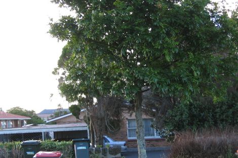 Photo of property in 88c Asquith Avenue, Mount Albert, Auckland, 1025