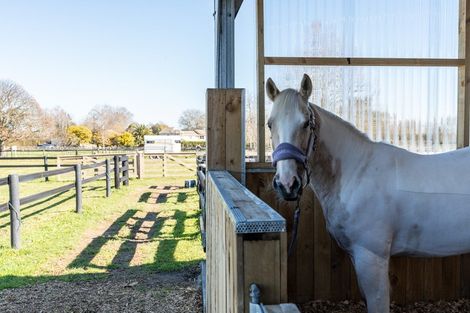 Photo of property in 107 Pencarrow Road, Tamahere, Hamilton, 3283