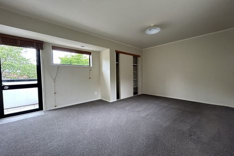Photo of property in 17a Karetu Road, Greenlane, Auckland, 1051