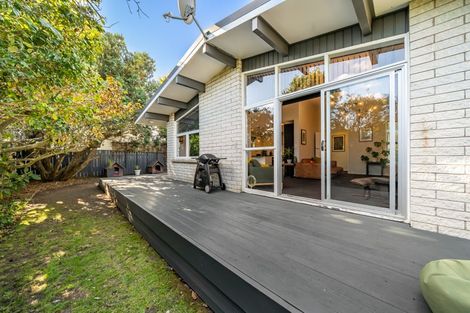 Photo of property in 25 Pinny Avenue, Epuni, Lower Hutt, 5011