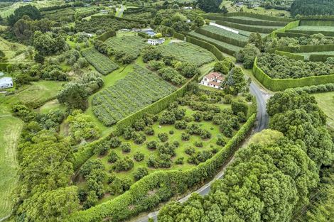 Photo of property in 21 Plummer Road, Whakamarama, Tauranga, 3179